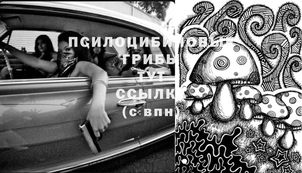 дурь Михайловск