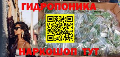 крисы Рузаевка