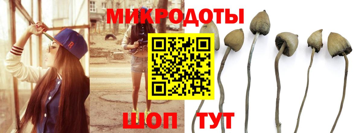 Псков  Псилоцибиновые грибы мухоморы  Вход с VPN 